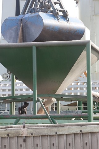 Menace sur le négoce  du cacao : un produit hautement toxique découvert dans le chocolat